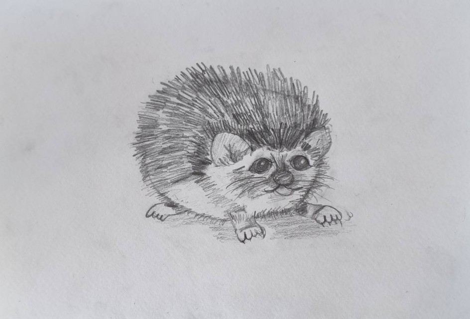 Ежик