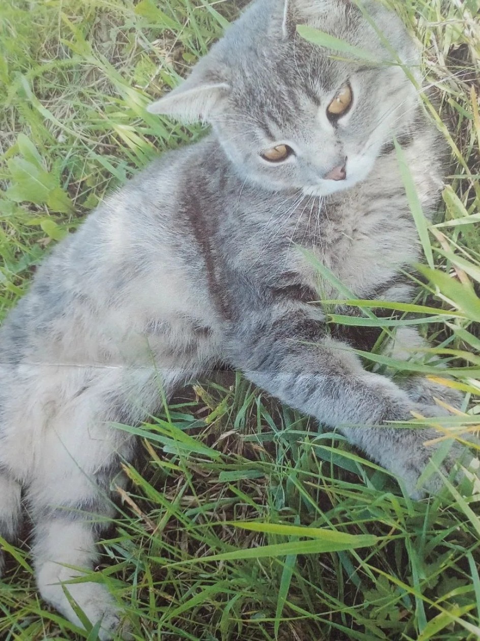 Отдых на природе