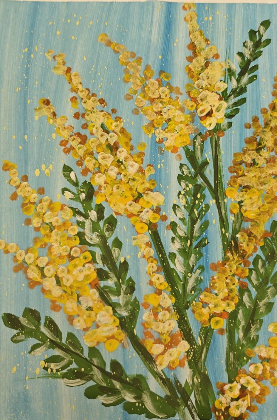 Мимоза
