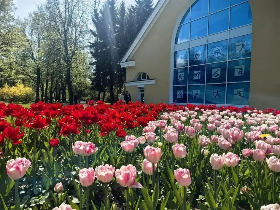 Весенее чудо