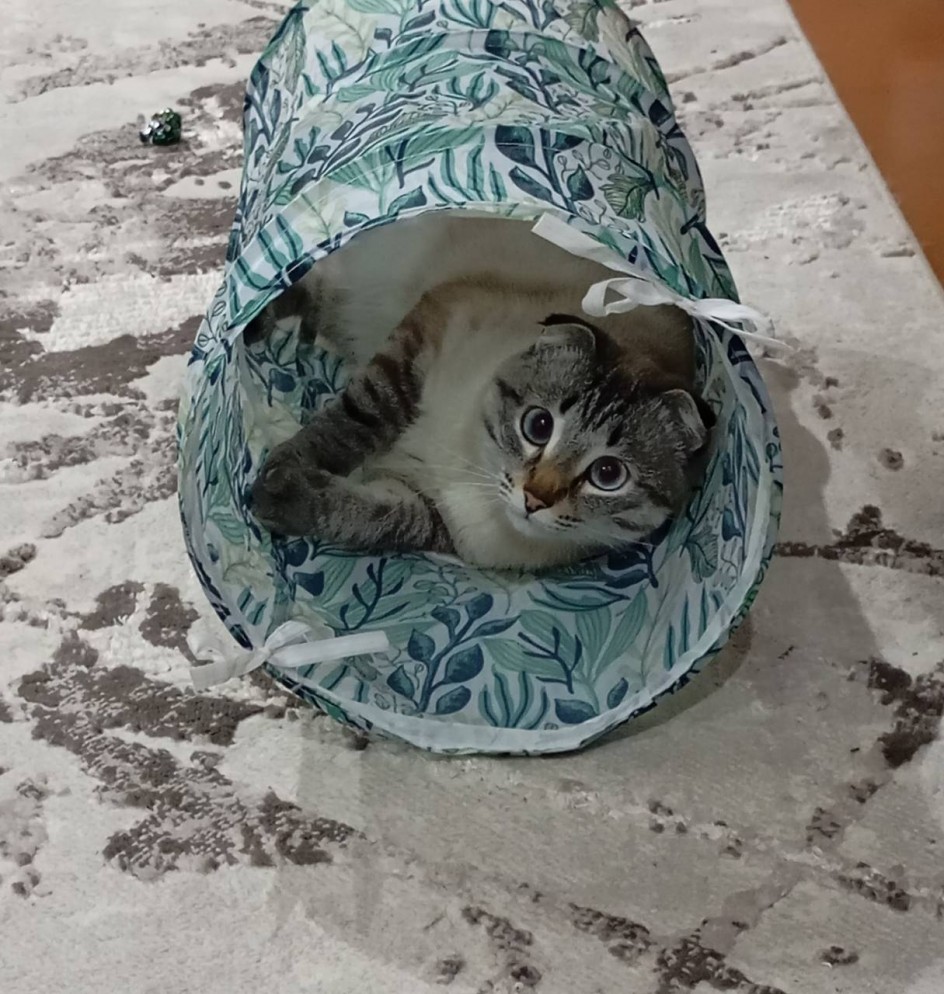 "Чур, я в домике!"