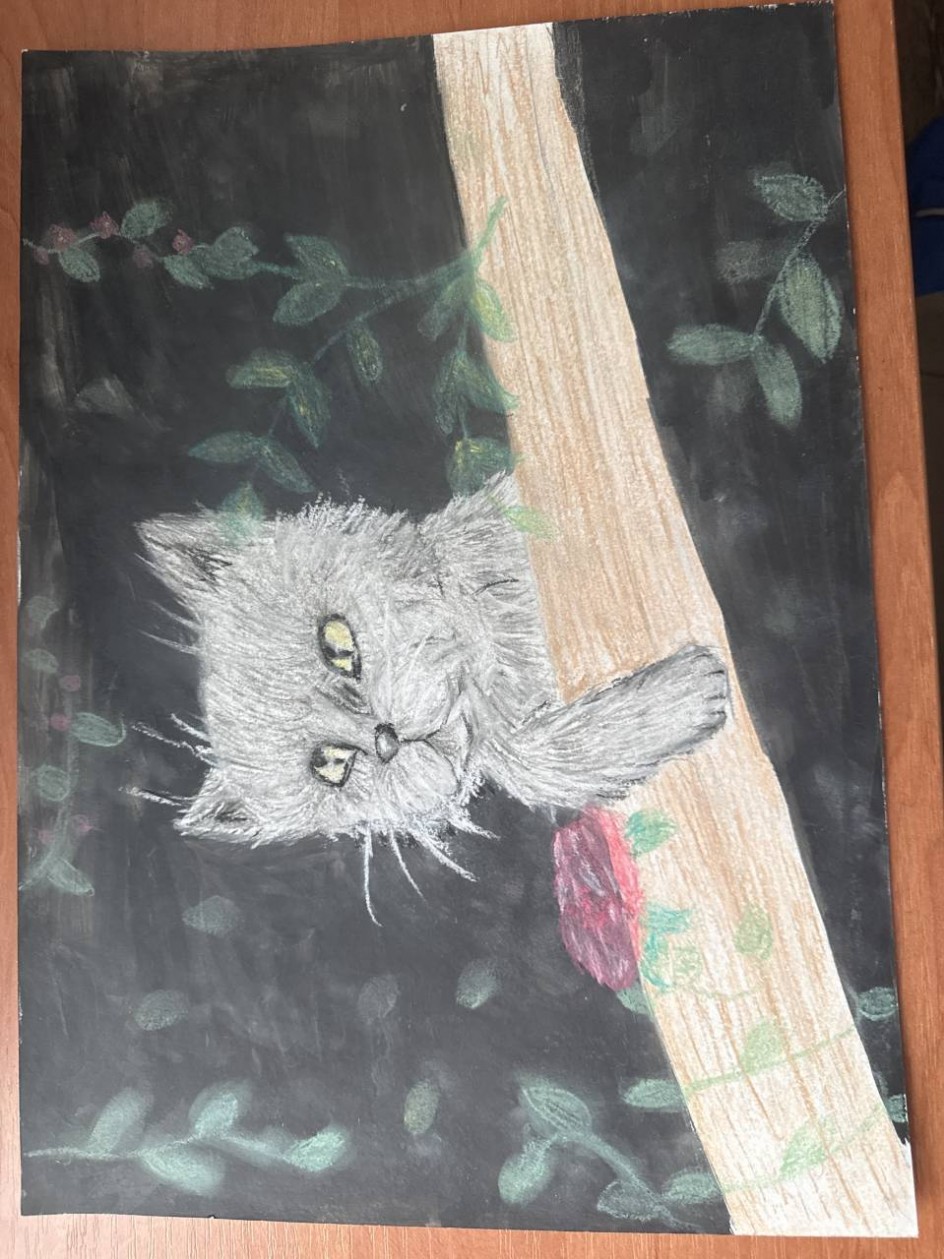 Котик