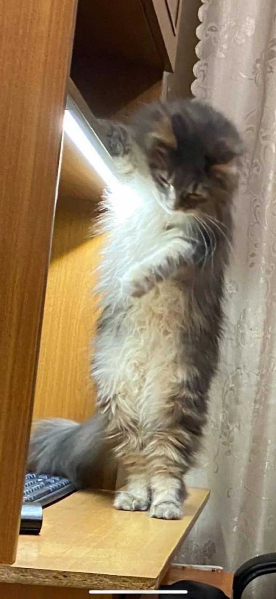 "Умная Дуся"