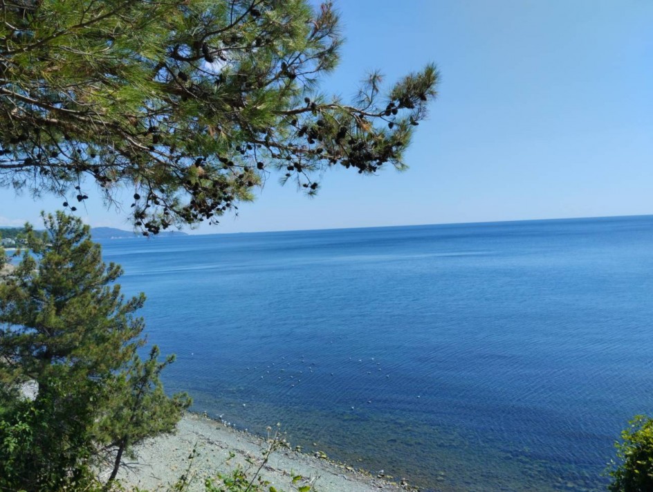 Гармония моря