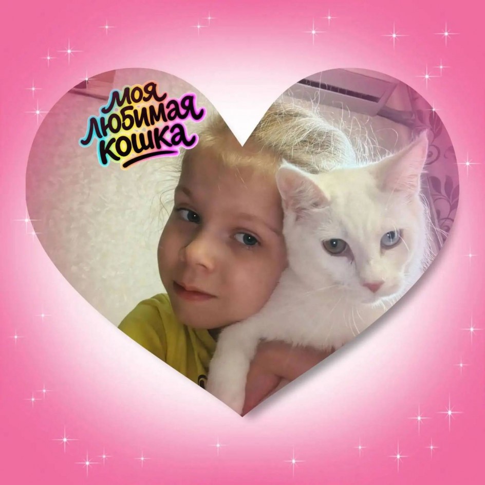 "Моя любимая кошка"