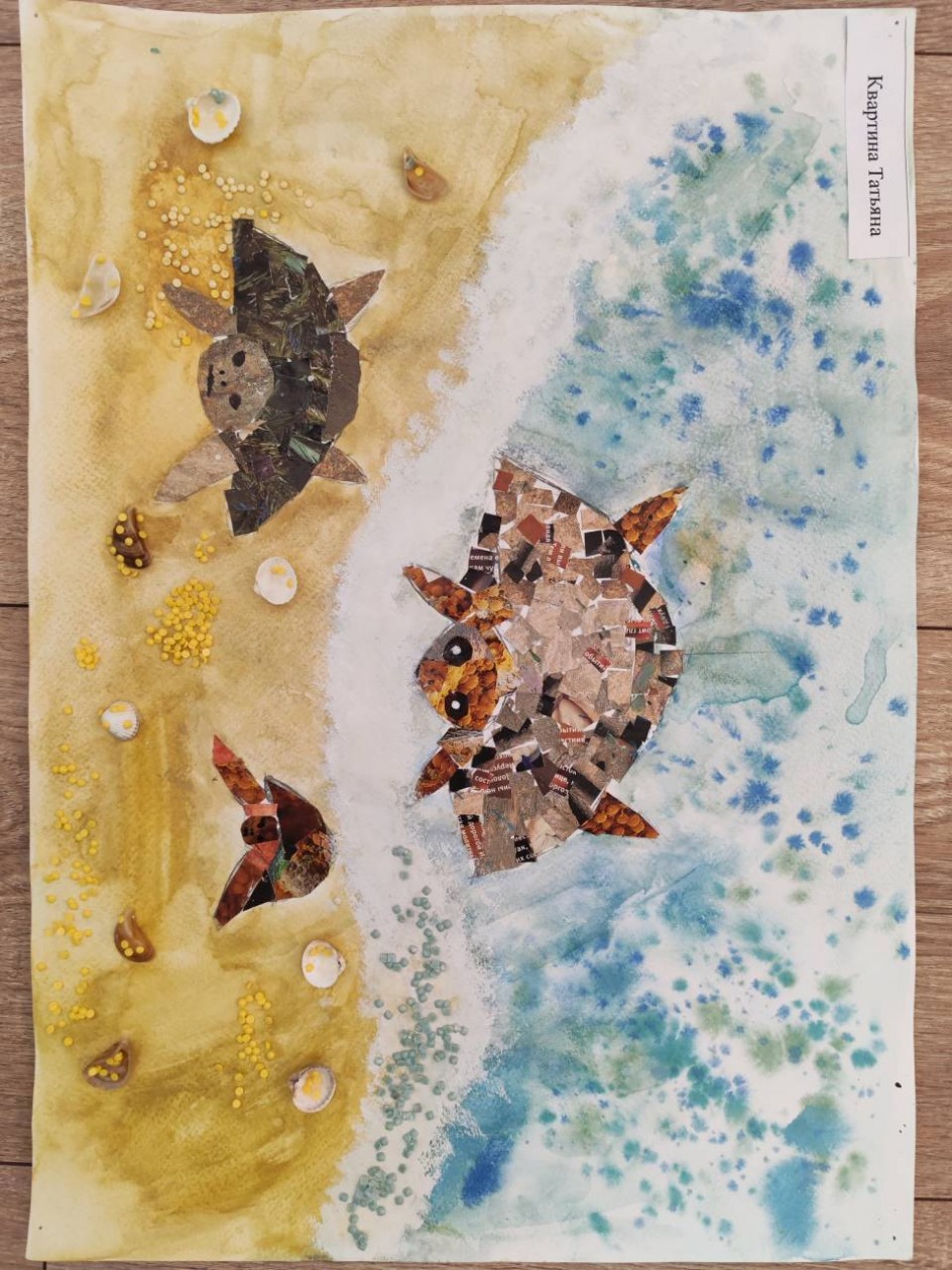 "Морские черепашки"