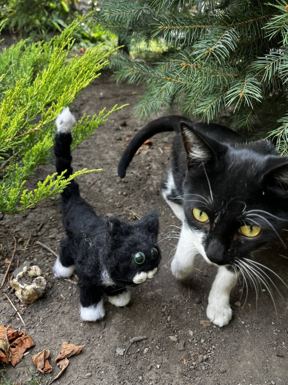 «Наш кот»