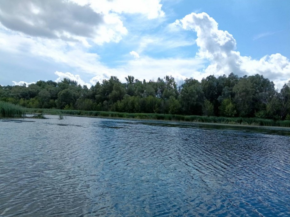 Лето, солнце и вода!