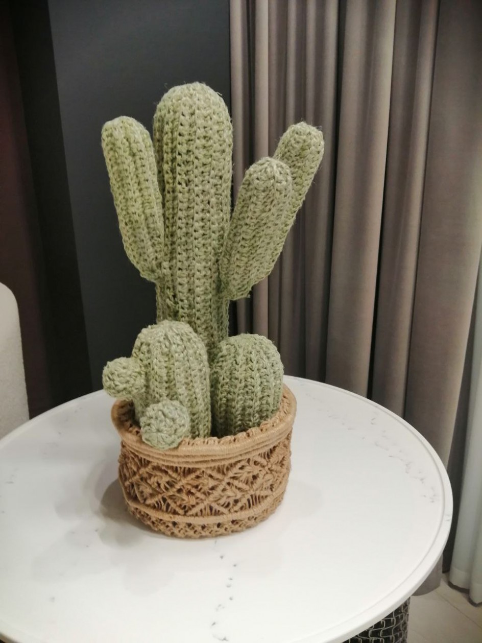 Кактус