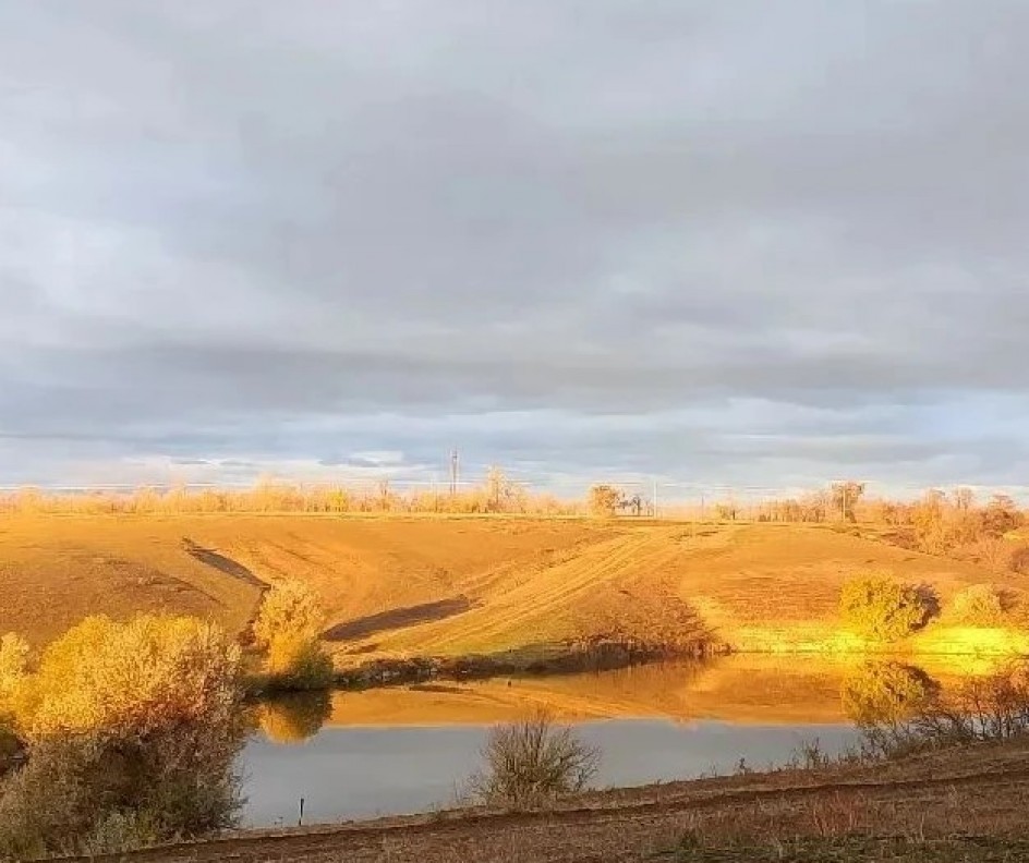 Краски осени в лучах солнца.