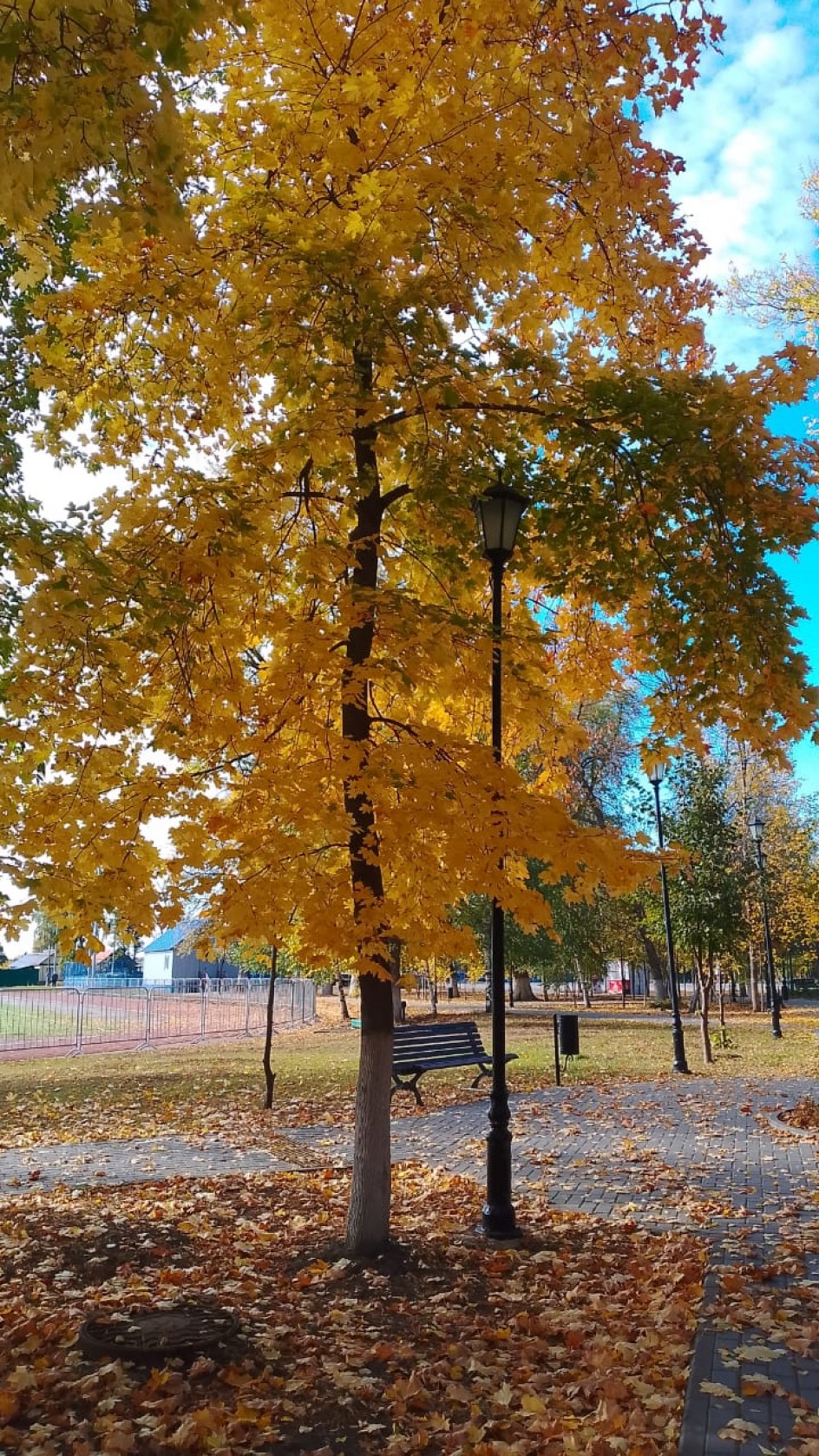 В осеннем парке