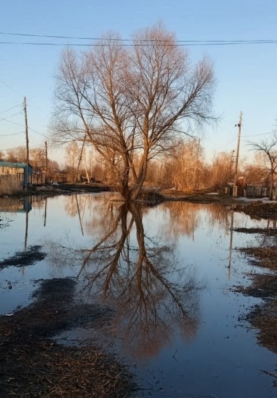 Отражение осени