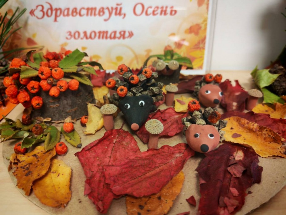 "Семейство ёжиков"