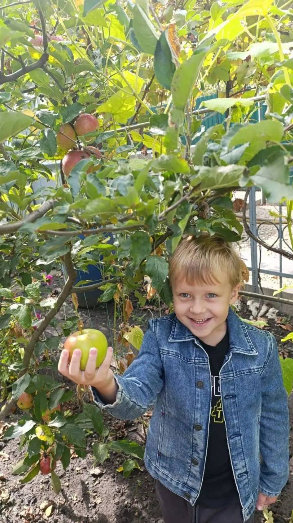 "Яблочко наливное"