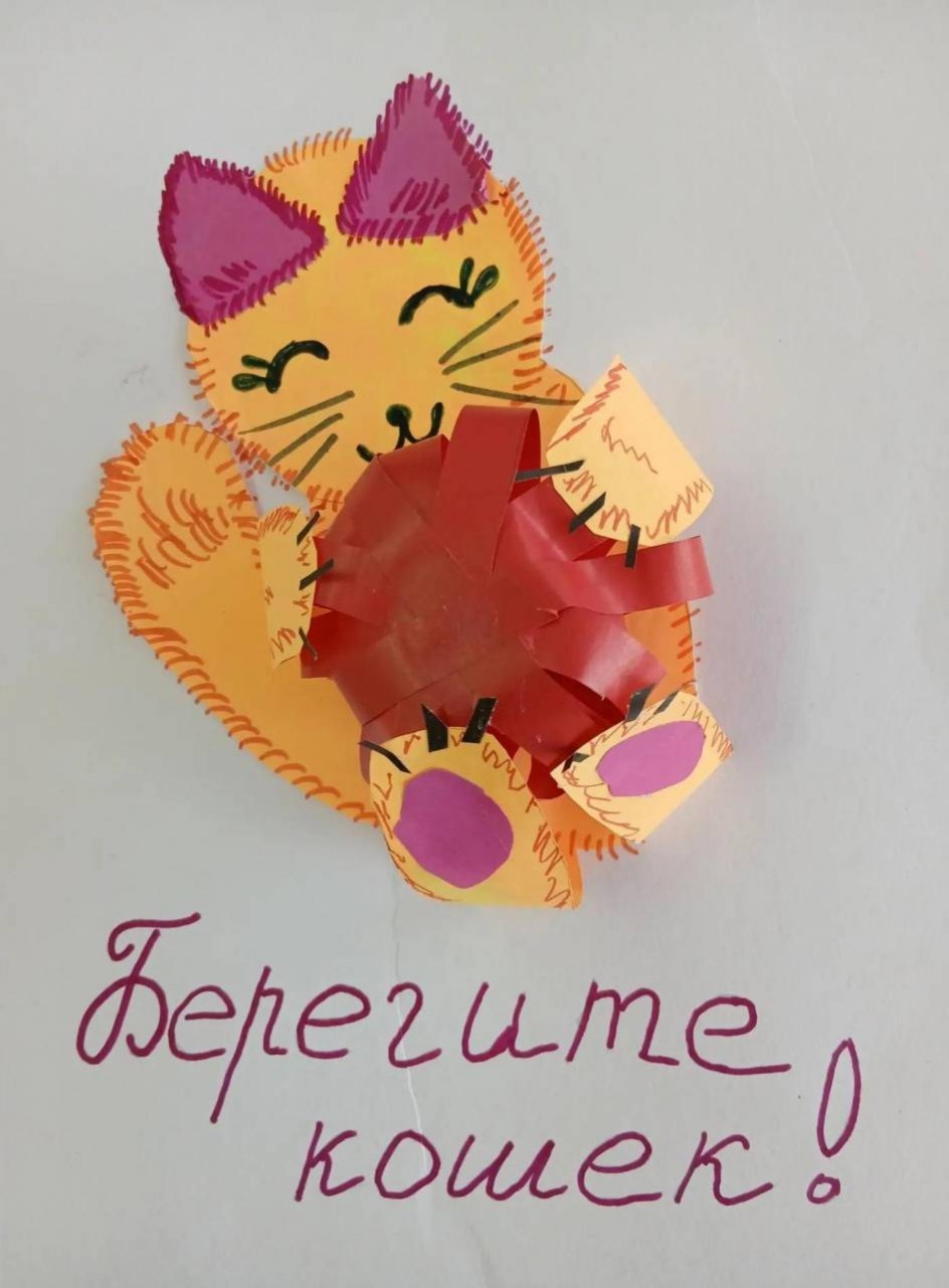 Берегите кошек!
