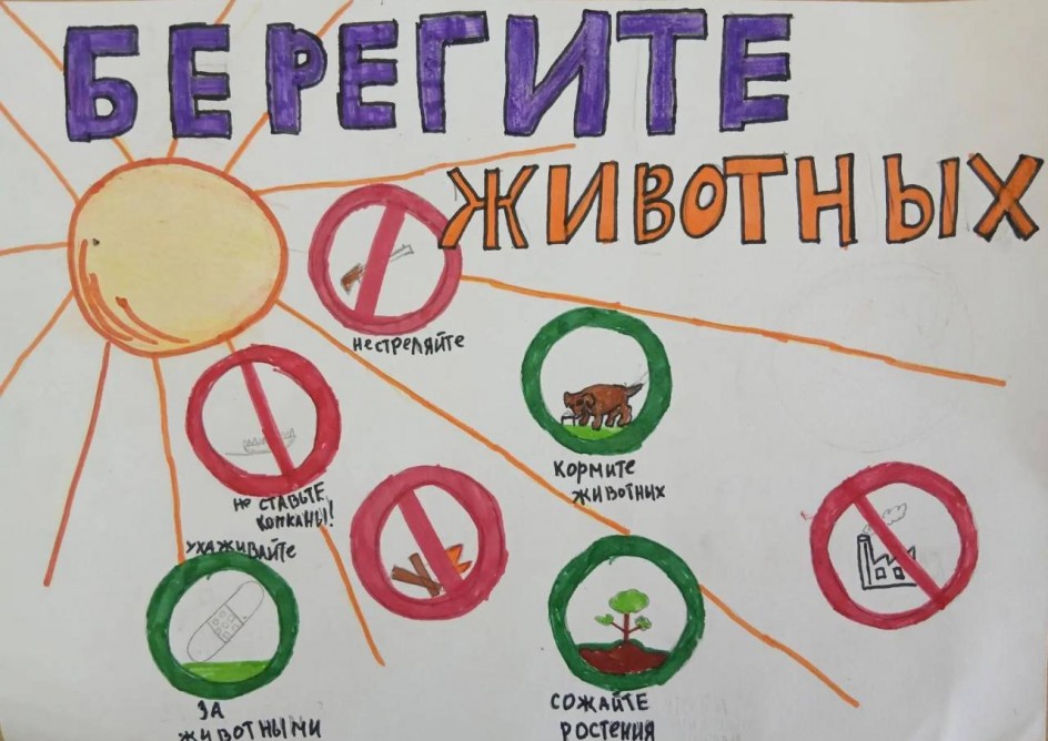 Берегите животных!