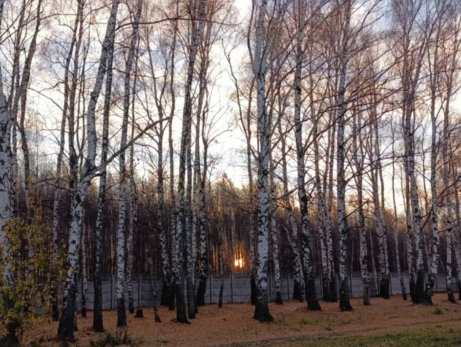 Закат осени