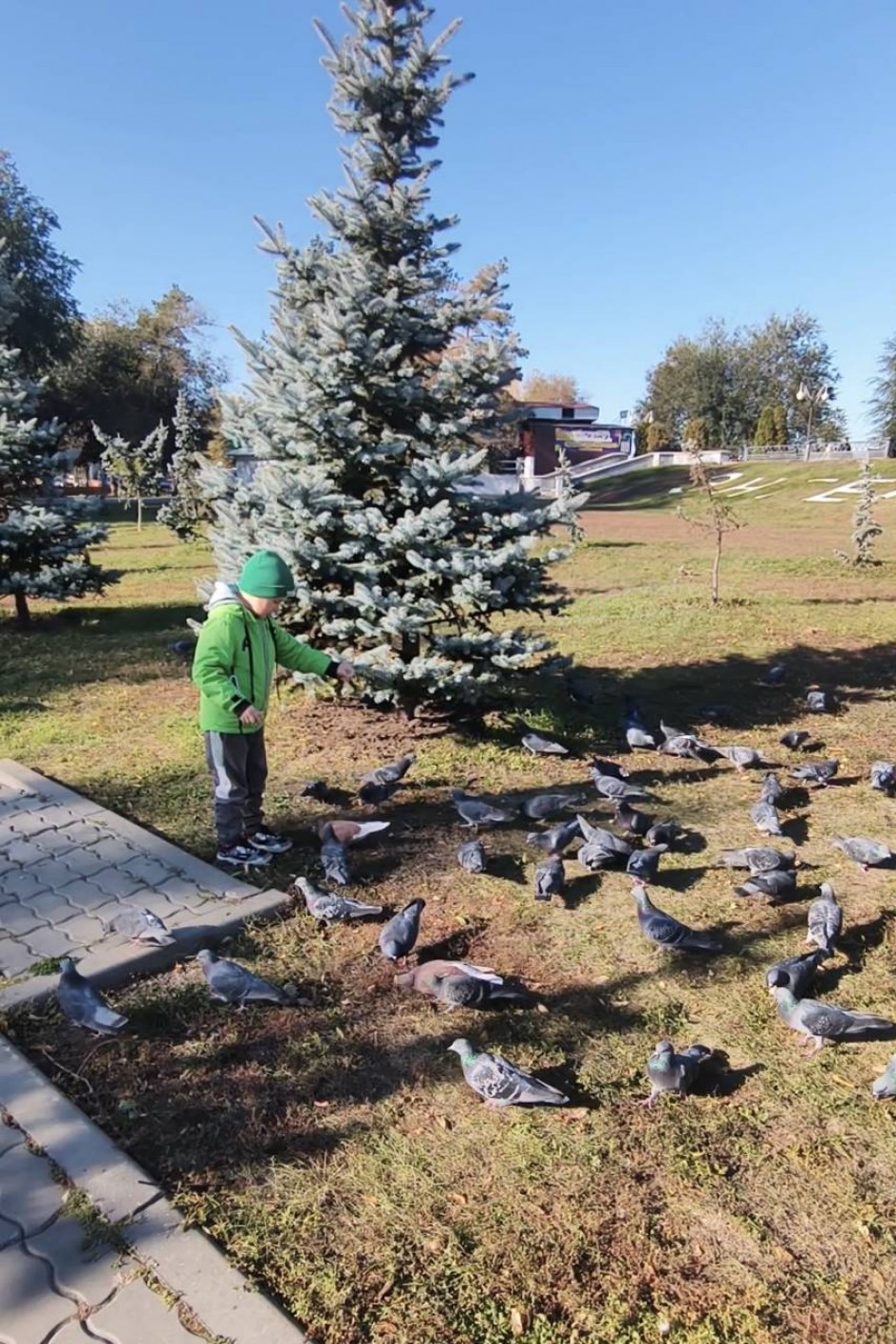 Осенний пир: кормление птиц в парке