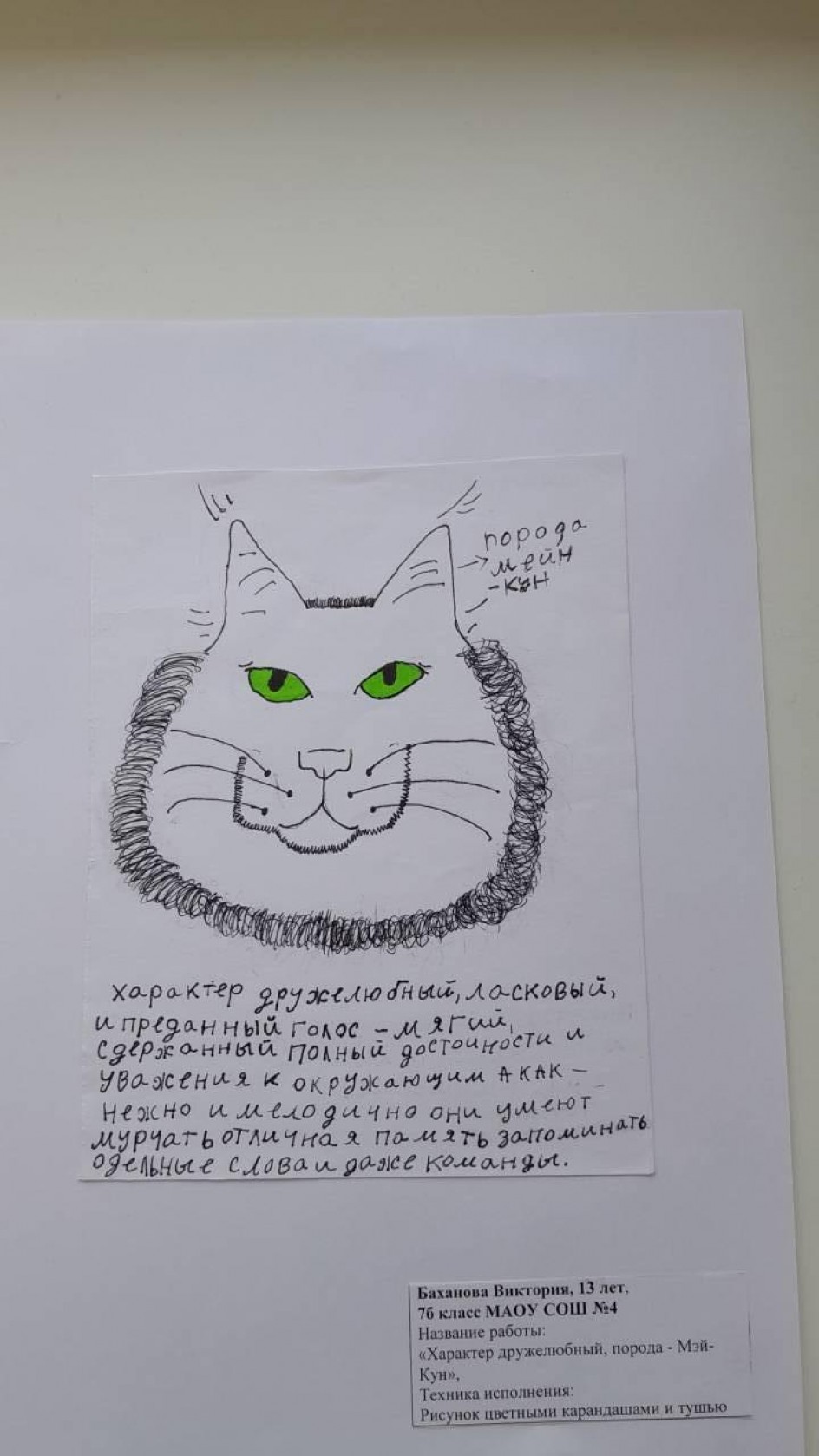 «Характер дружелюбный, порода :  Мэй-Кун»,