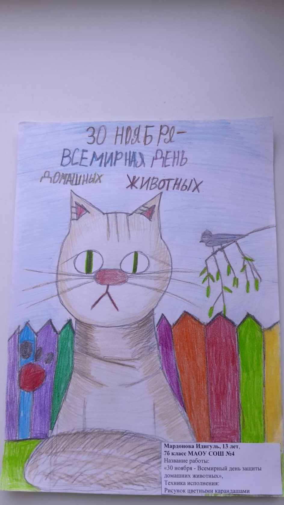 «30 ноября - Всемирный день защиты домашних животных»,