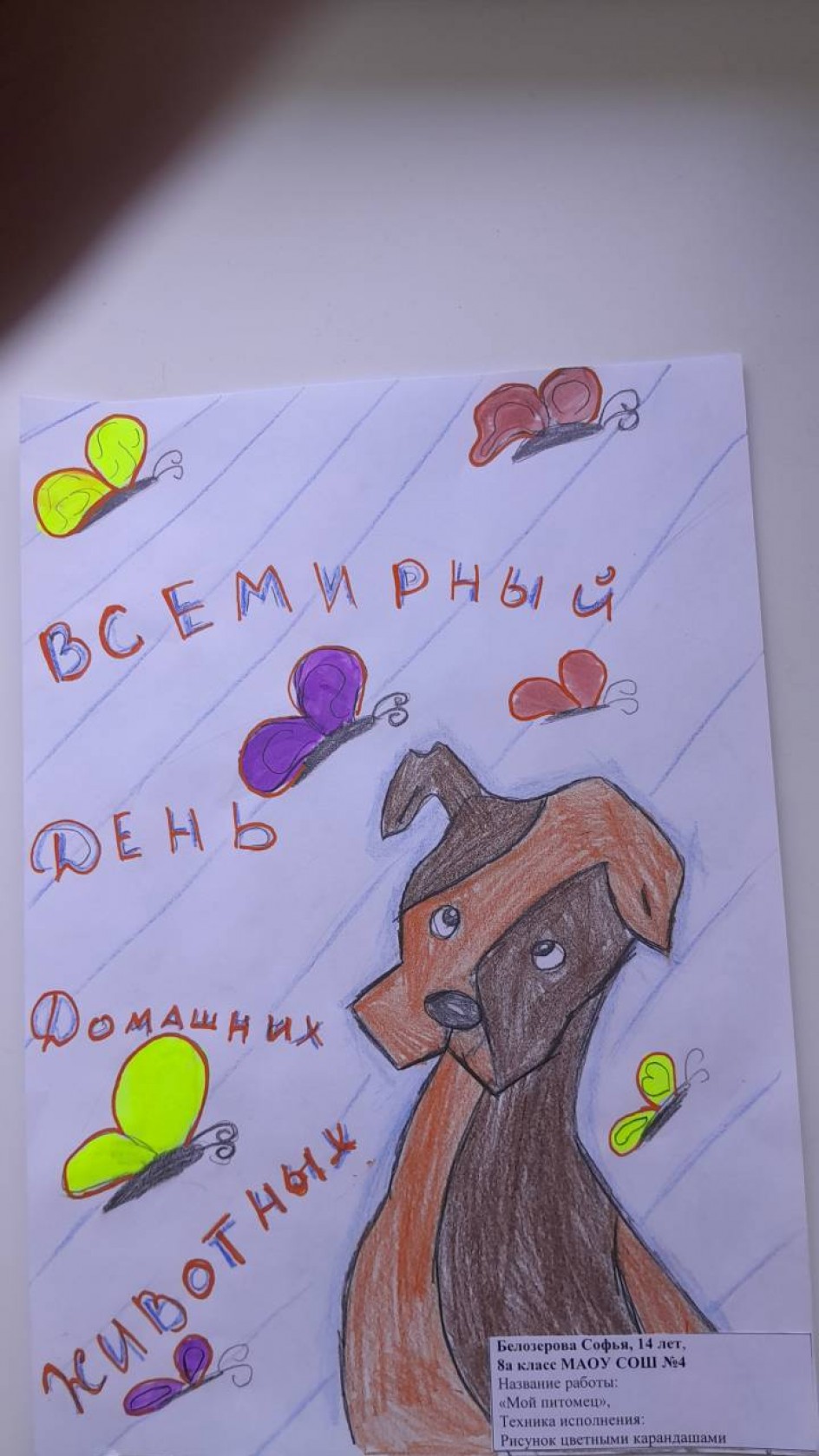 «Мой питомец»