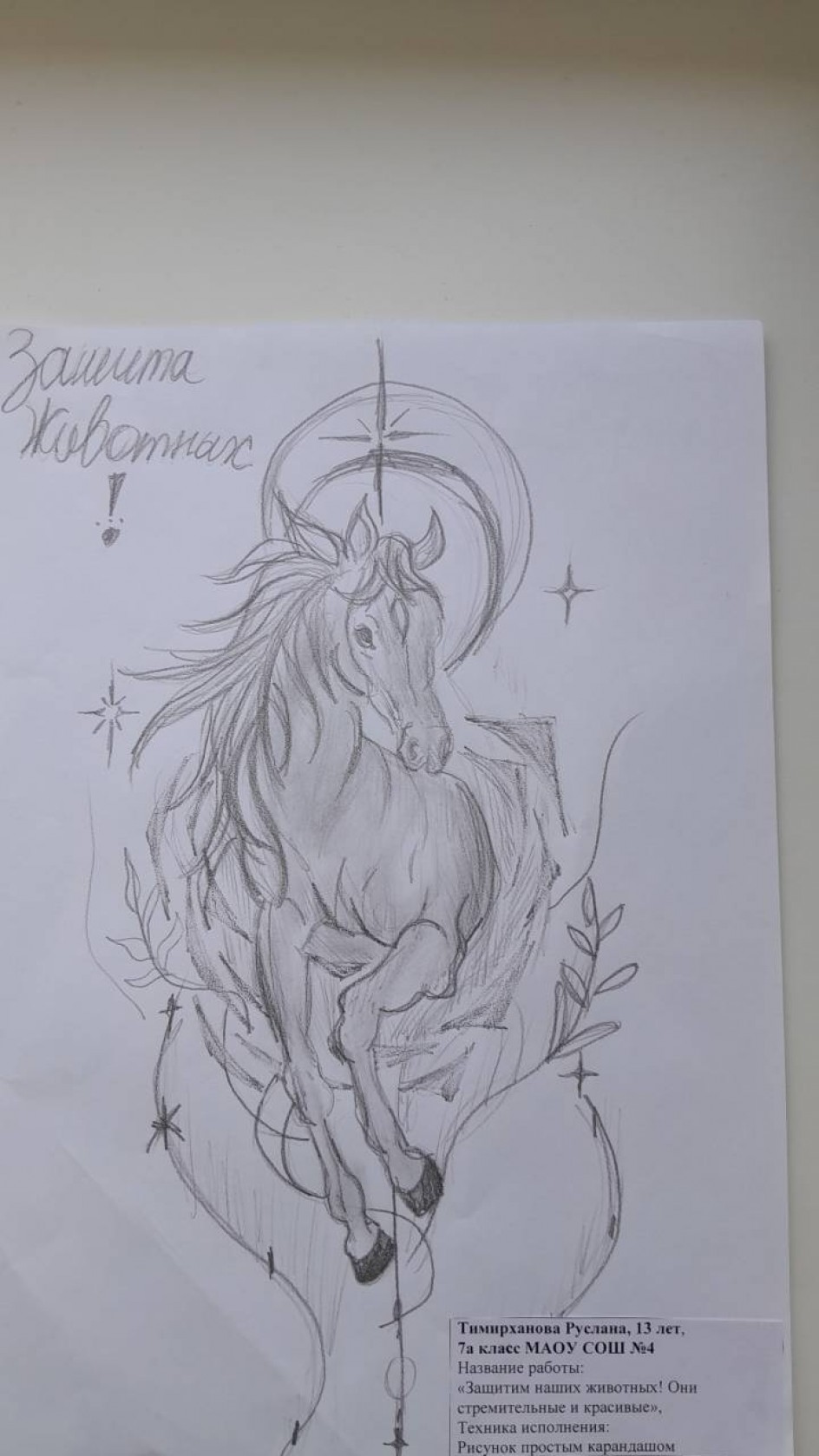 «Защитим наших животных! Они стремительные и красивые»