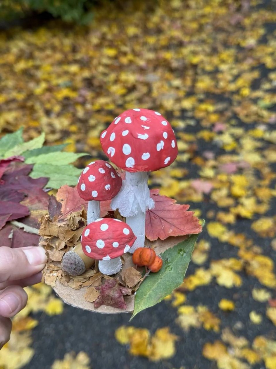 "Осенние краски"