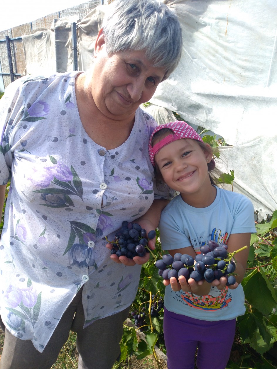 Самый сладкий виноград