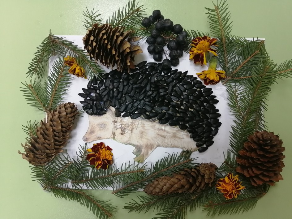 Лесной ёжик