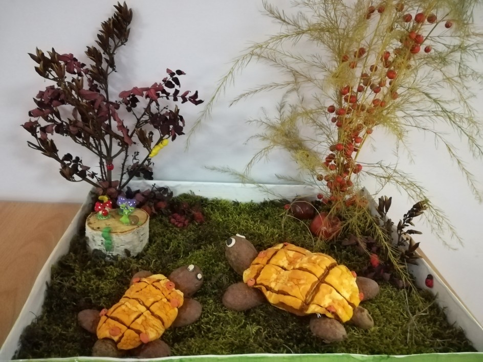 Черепашки на полянке