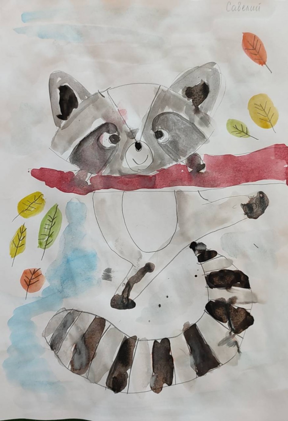 ''Забавный енот''