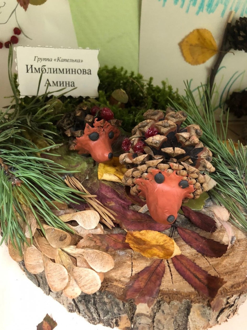 Ёжики на прогулке