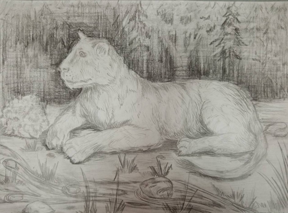 Львица у ручья