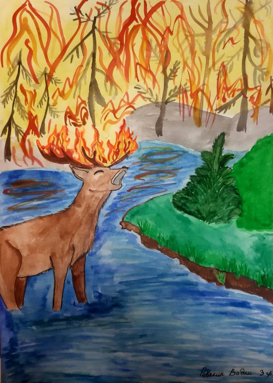 Береги красоту лесов