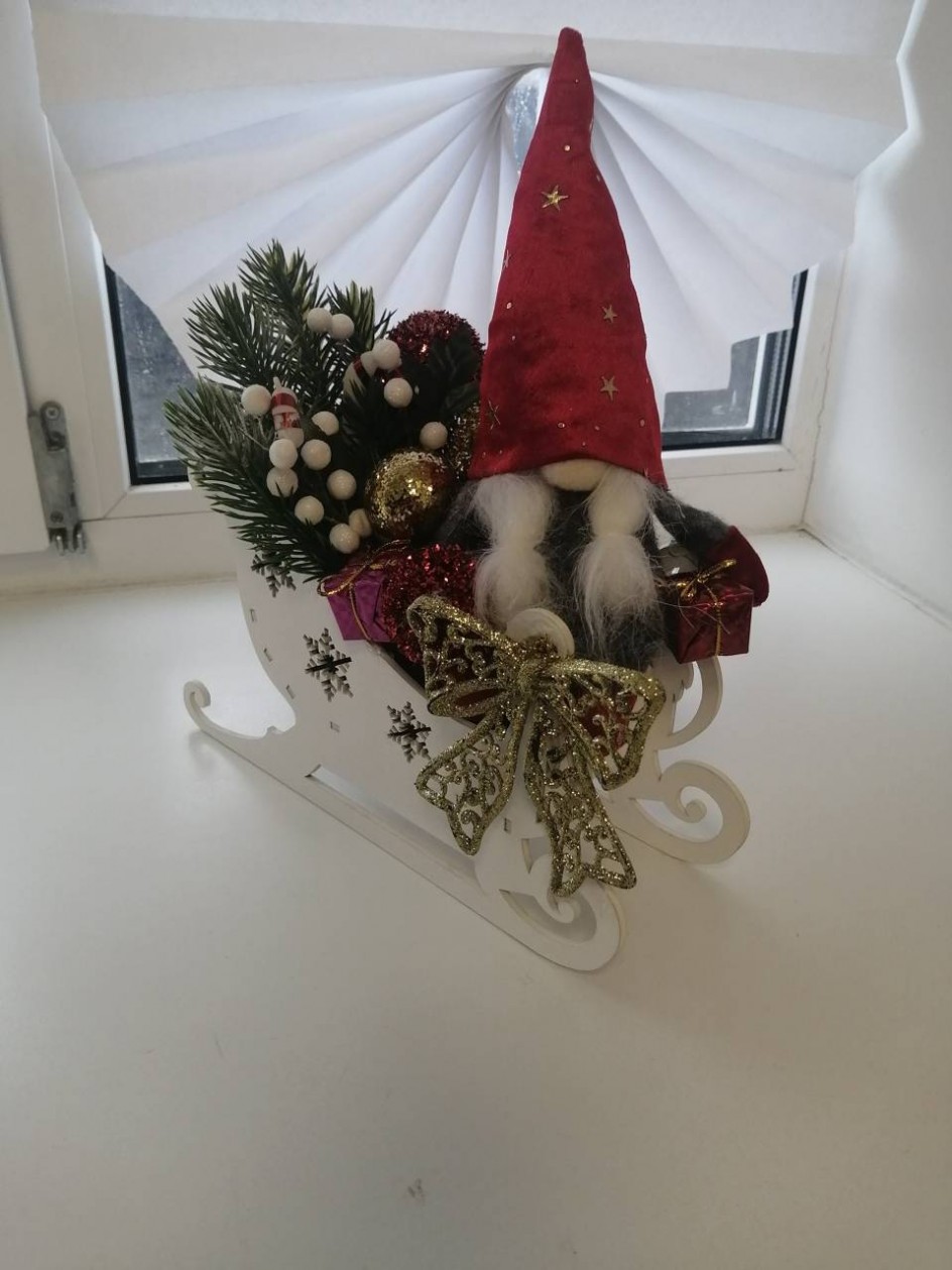 Новогодний гость