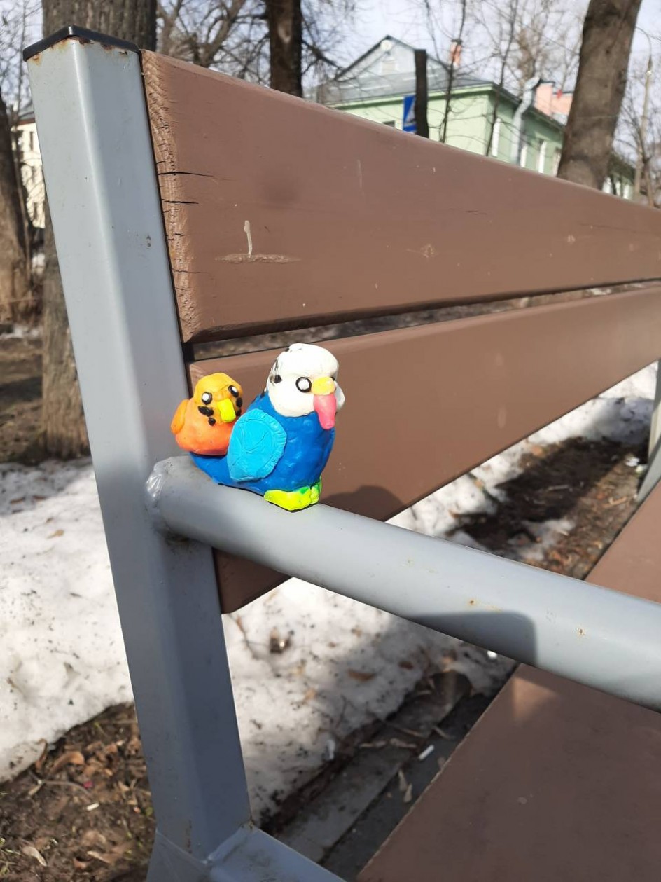 Попугаи на лавочке