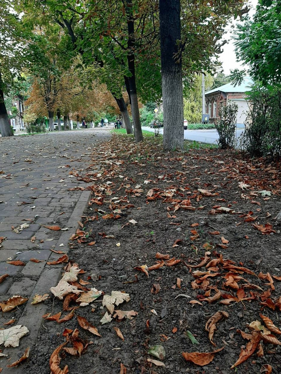 Осень в городе Новочеркасске