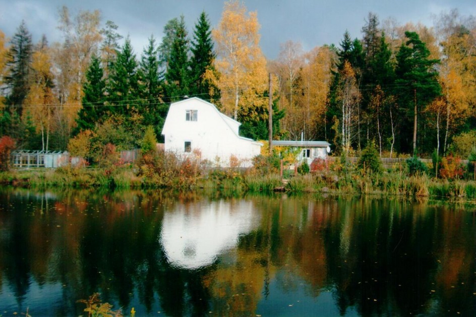 Домик в лесу