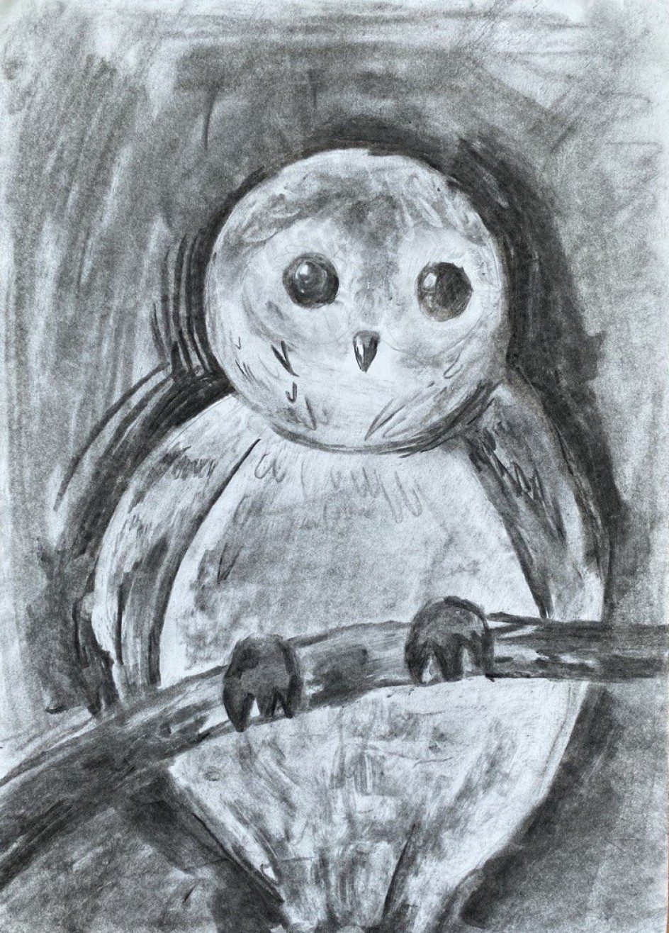 «Сова в лесу»