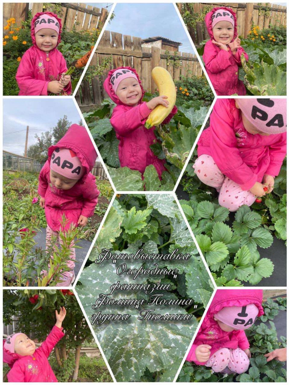 "Огородные фантазии"