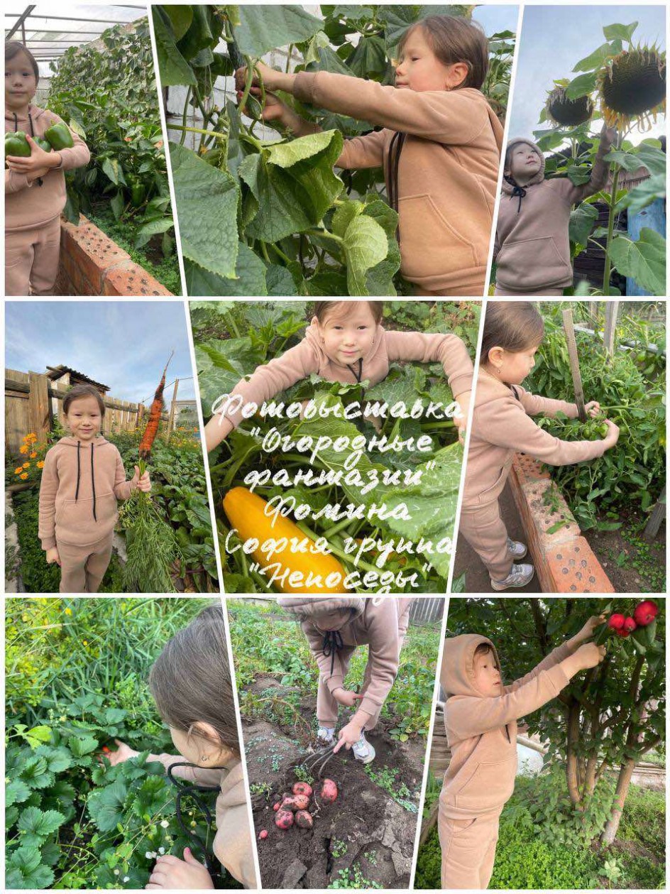 "Огородные фантазии"