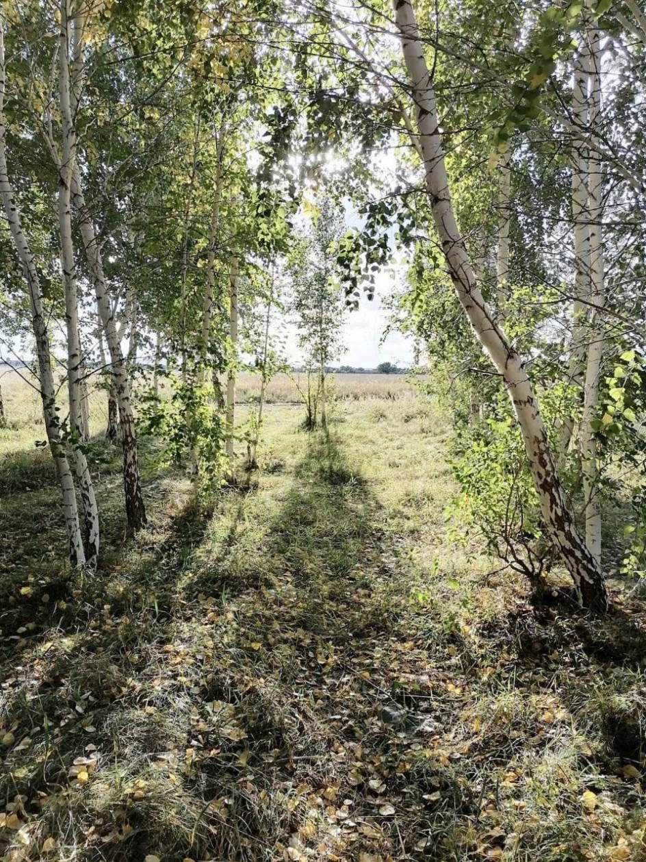 "Красота осени"