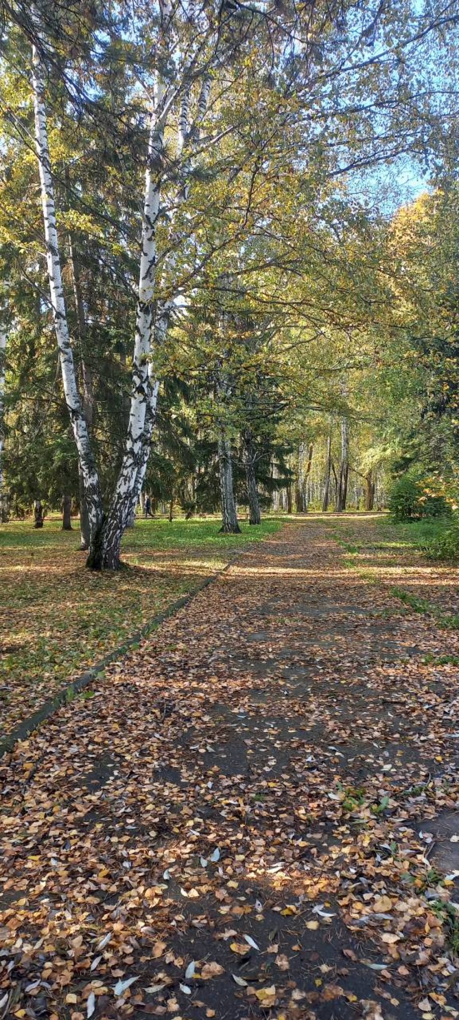 Осенняя тропа
