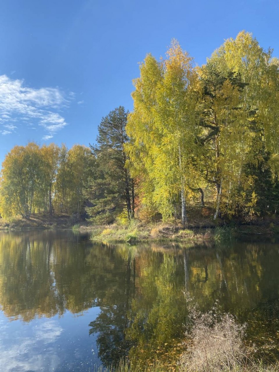 Осенняя красота