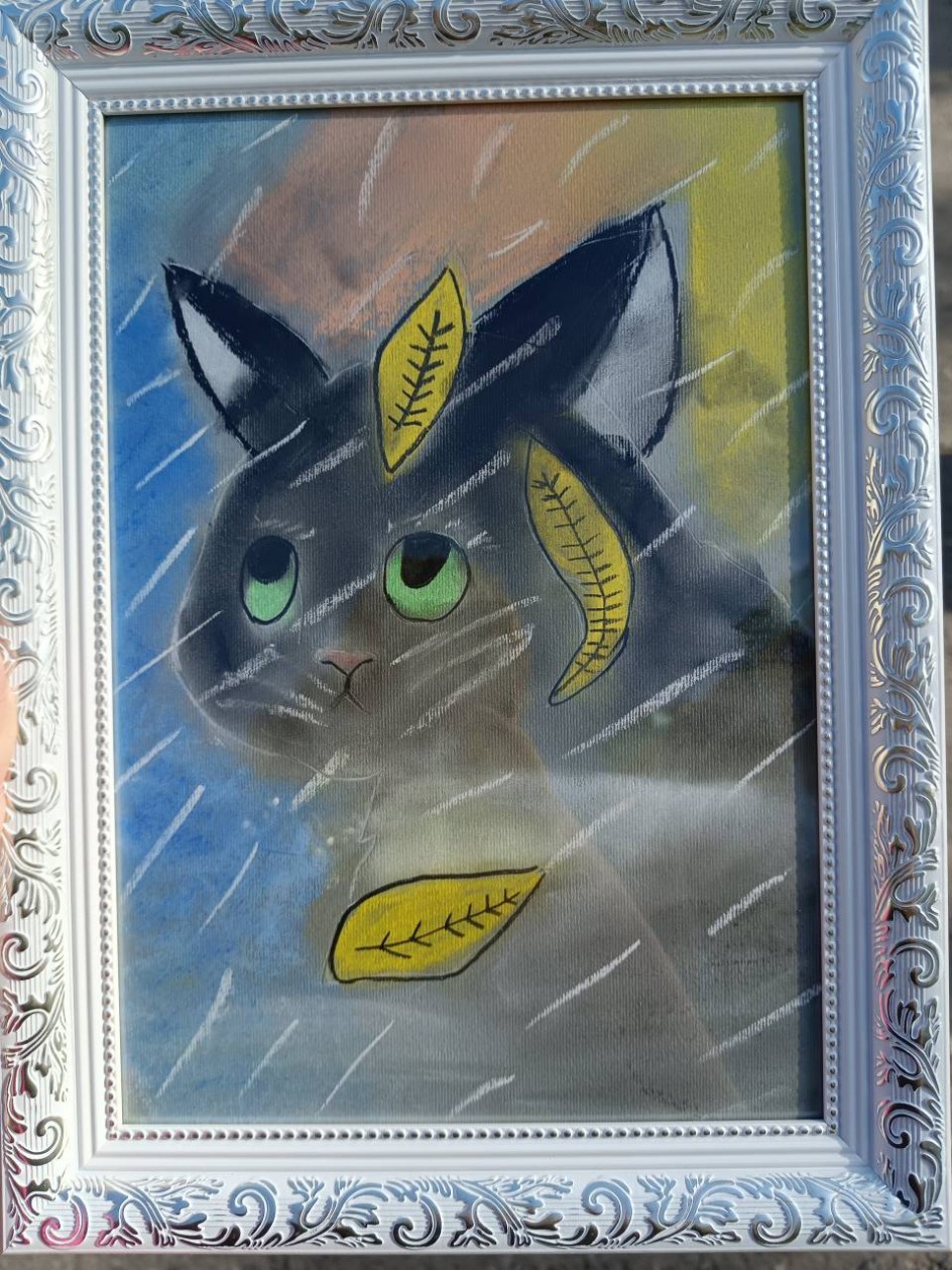 грустный котик