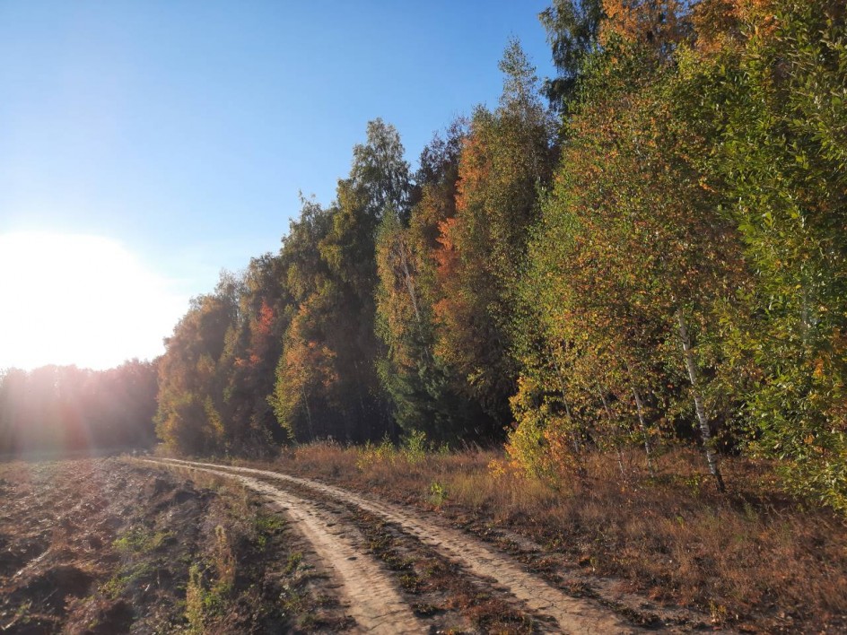 Осень