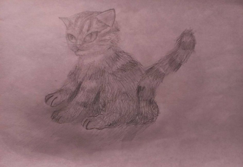 "Мой котёнок"