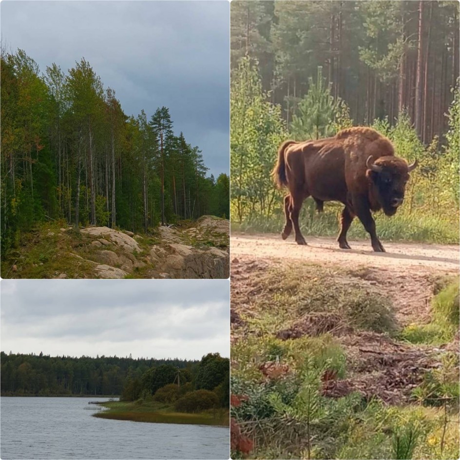 Красота природы