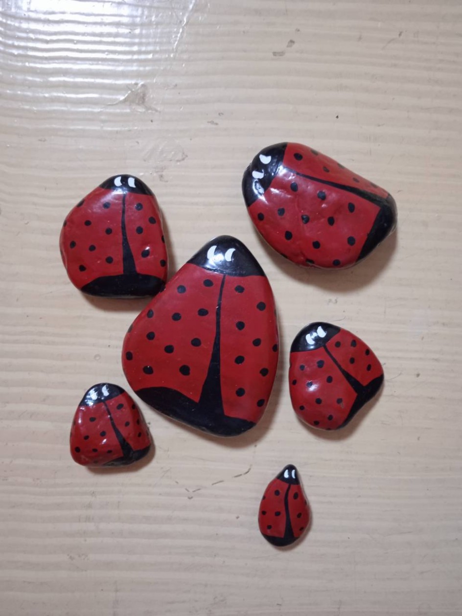 Божьи коровки