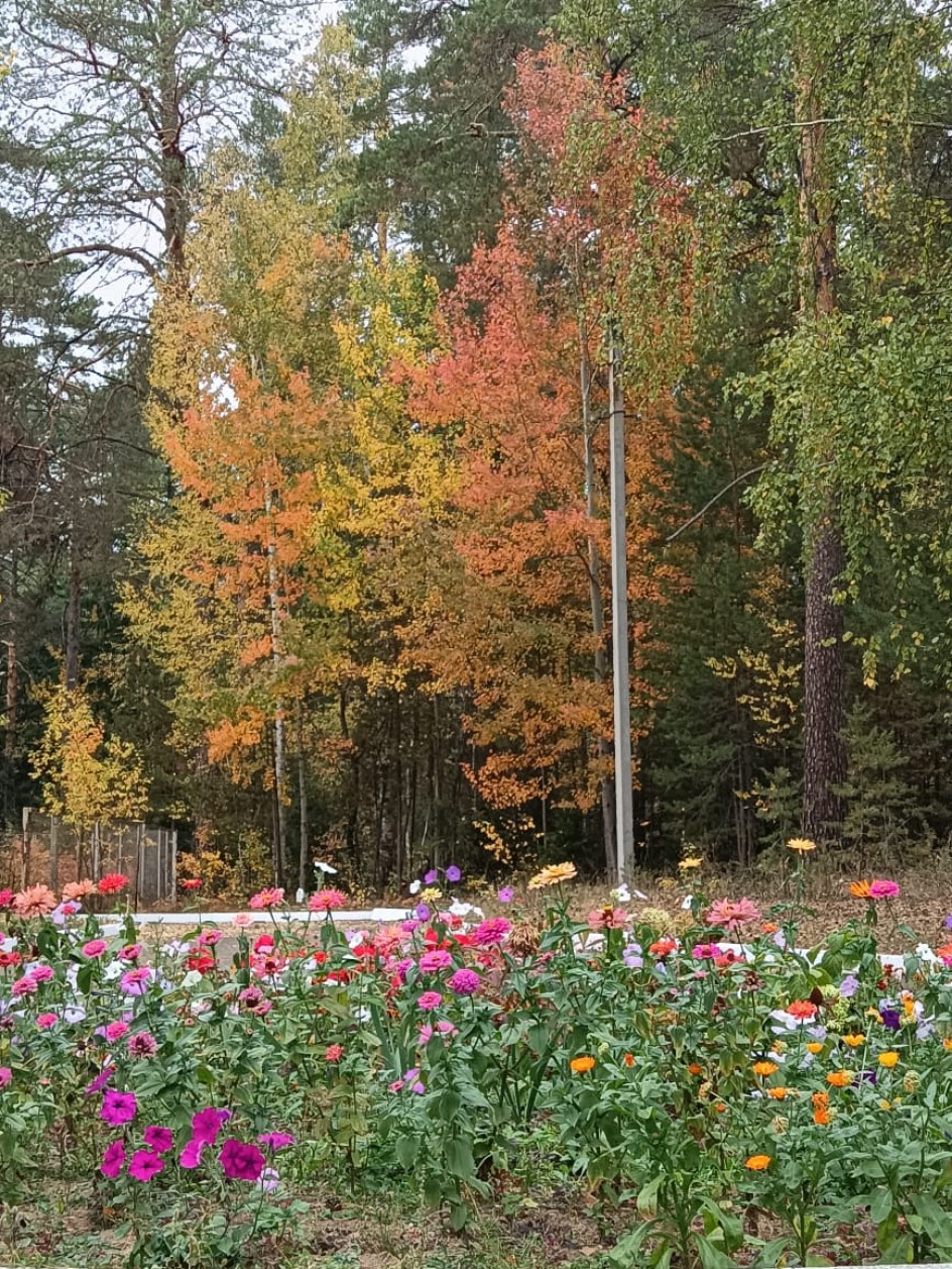 Осень в красках
